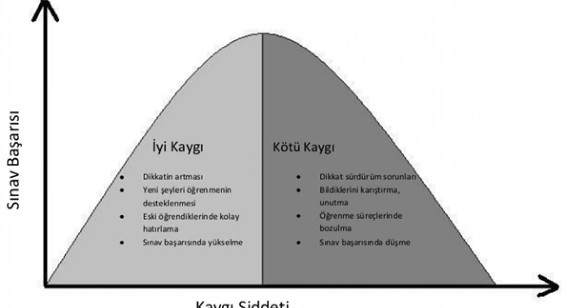 Sınav Kaygısı